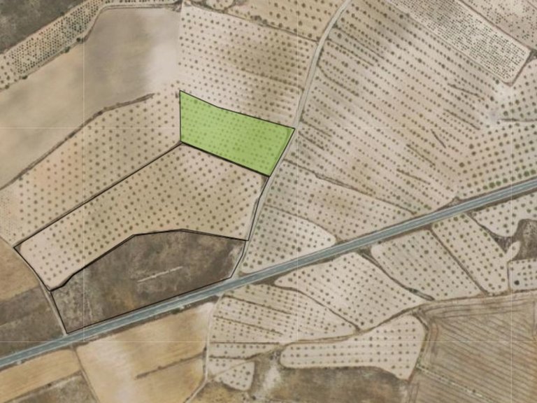 Plot for Sale in Jumilla, Murcia 2
