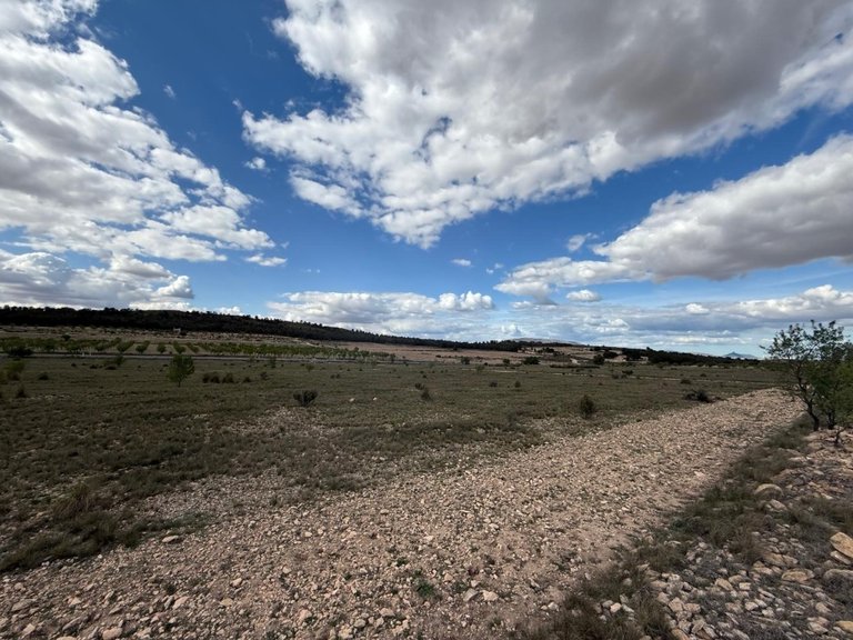 Plot for Sale in Yecla, Murcia 3