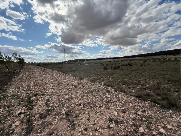 Plot for Sale in Yecla, Murcia 4
