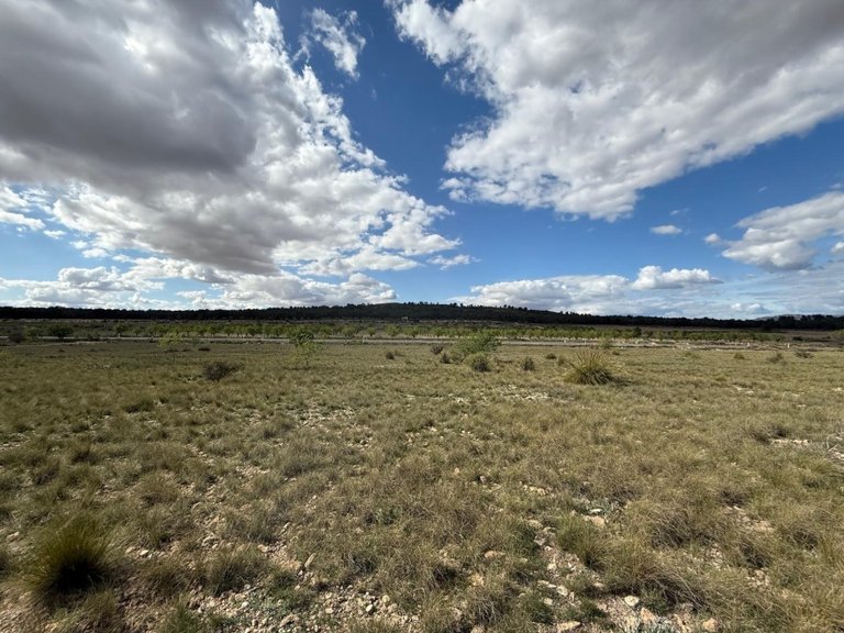 Plot for Sale in Yecla, Murcia 2