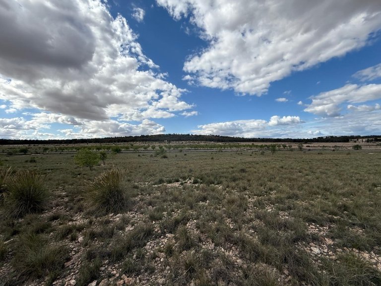 Plot for Sale in Yecla, Murcia 1