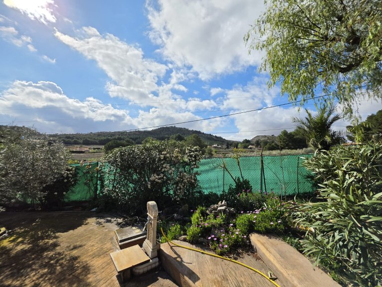 Villa for Sale in Elda, Alicante 41