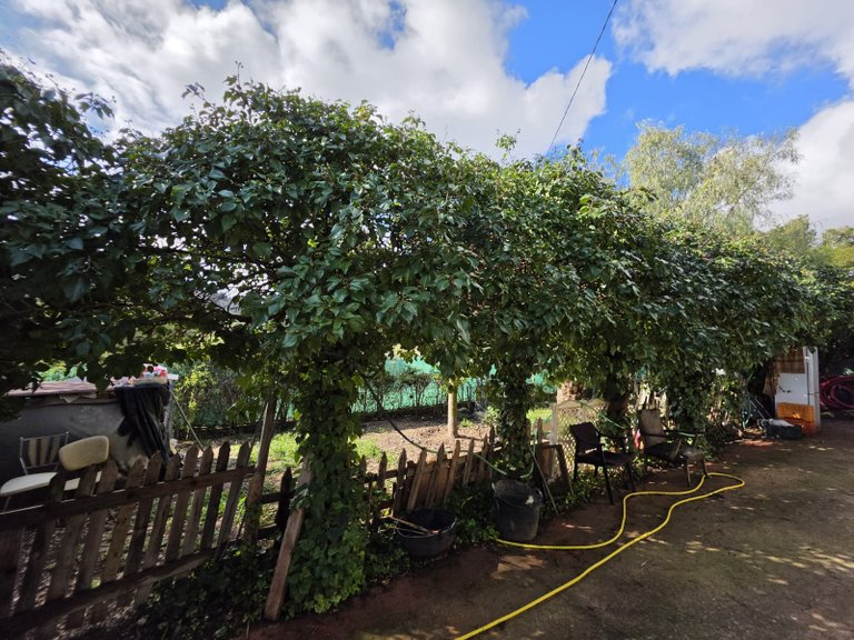 Villa for Sale in Elda, Alicante 44