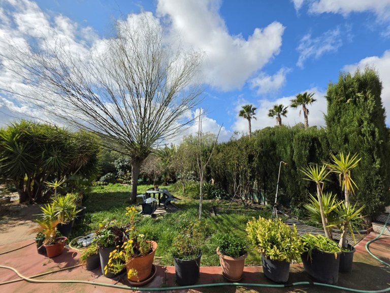 Villa for Sale in Elda, Alicante 47