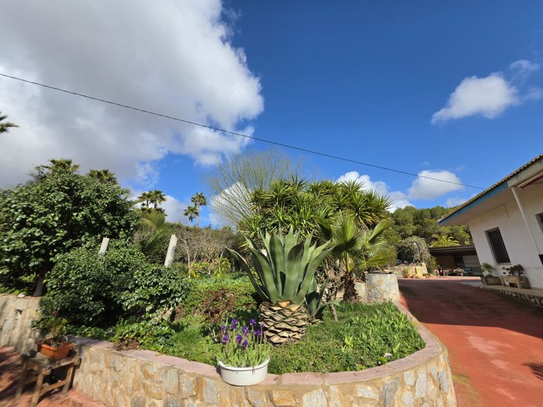 Villa for Sale in Elda, Alicante 40