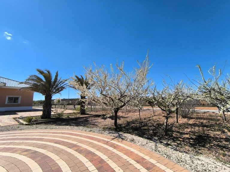 Villa for Sale in Pinoso, Alicante 36