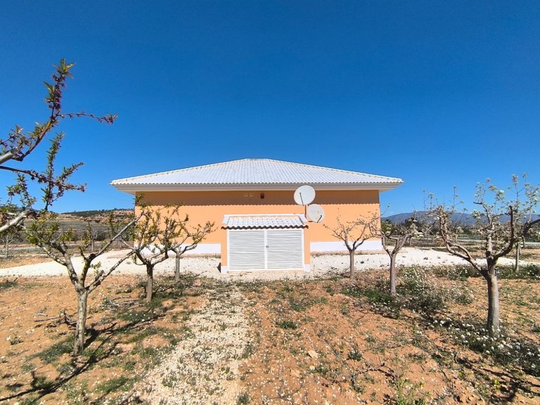 Villa for Sale in Pinoso, Alicante 31