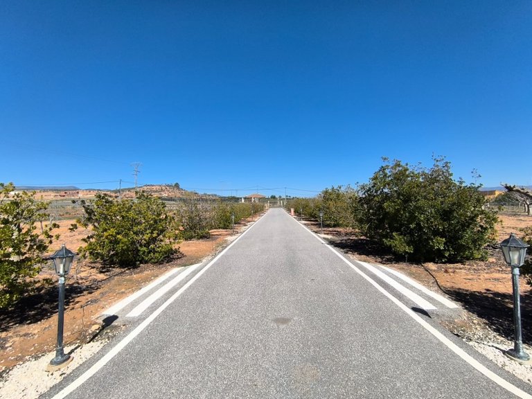 Villa for Sale in Pinoso, Alicante 42