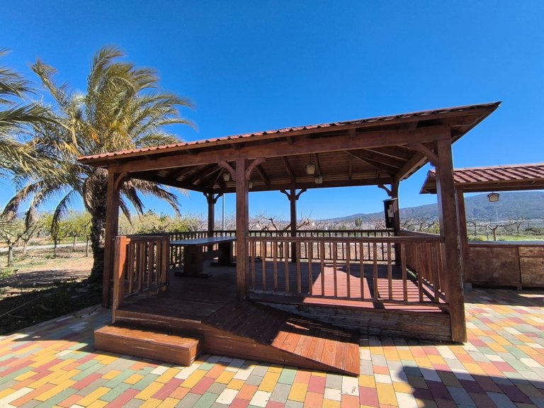 Villa for Sale in Pinoso, Alicante 3