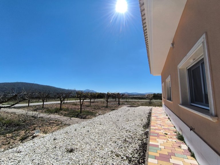Villa for Sale in Pinoso, Alicante 39