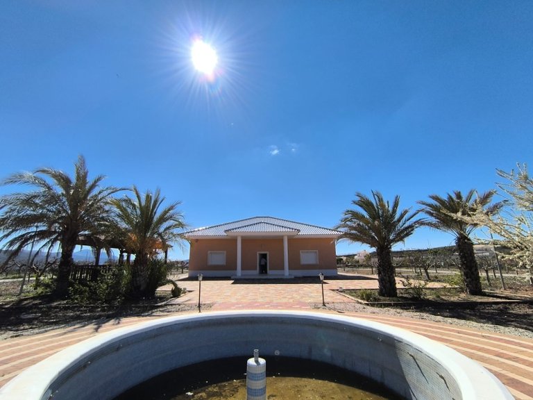 Villa for Sale in Pinoso, Alicante 44