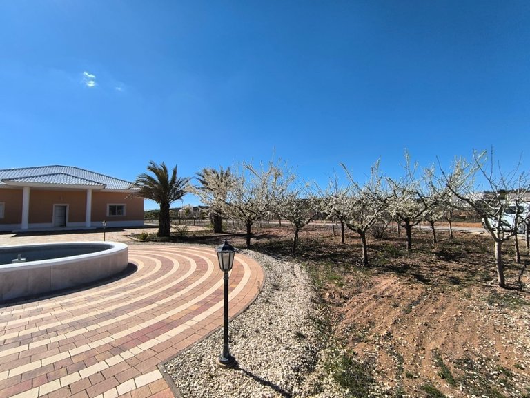 Villa for Sale in Pinoso, Alicante 37