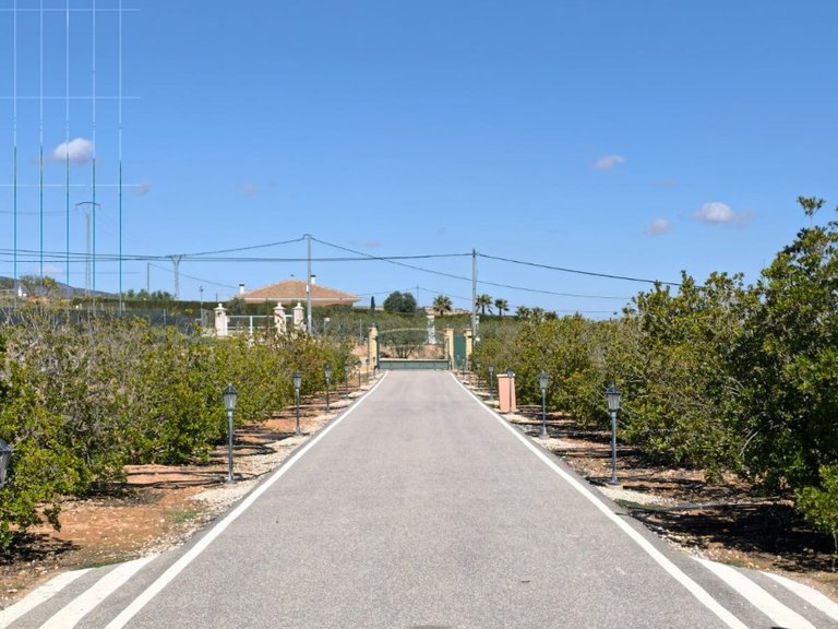 Villa for Sale in Pinoso, Alicante 38