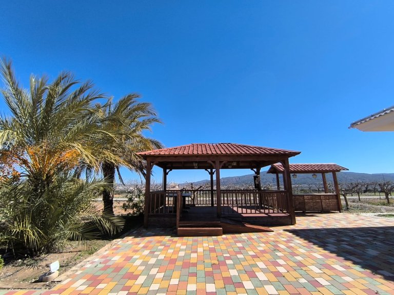 Villa for Sale in Pinoso, Alicante 35