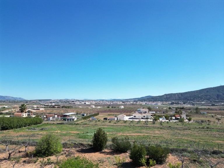 Villa for Sale in Pinoso, Alicante 45