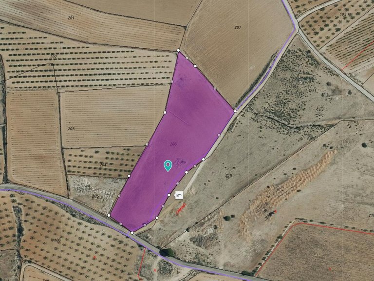 Plot for Sale in Pinoso, Alicante 2