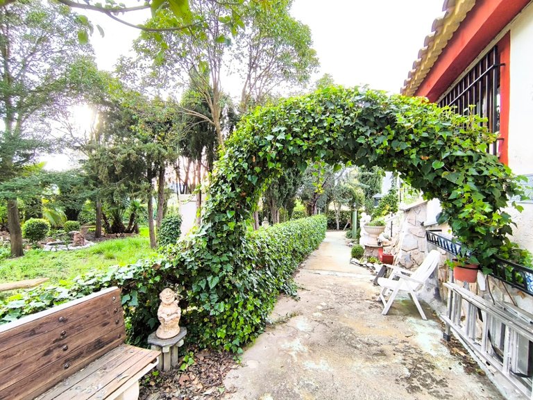 Villa for Sale in Yecla, Murcia 22