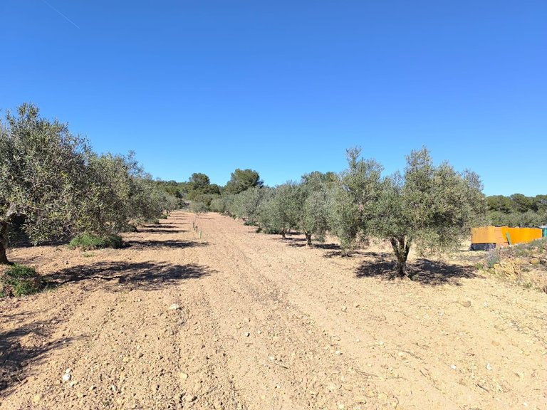 Country House for Sale in Yecla, Murcia 17
