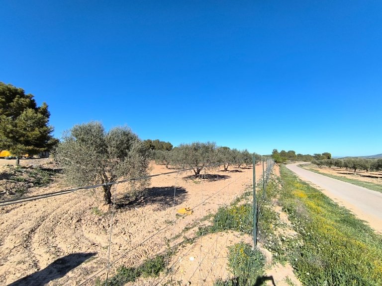 Country House for Sale in Yecla, Murcia 14