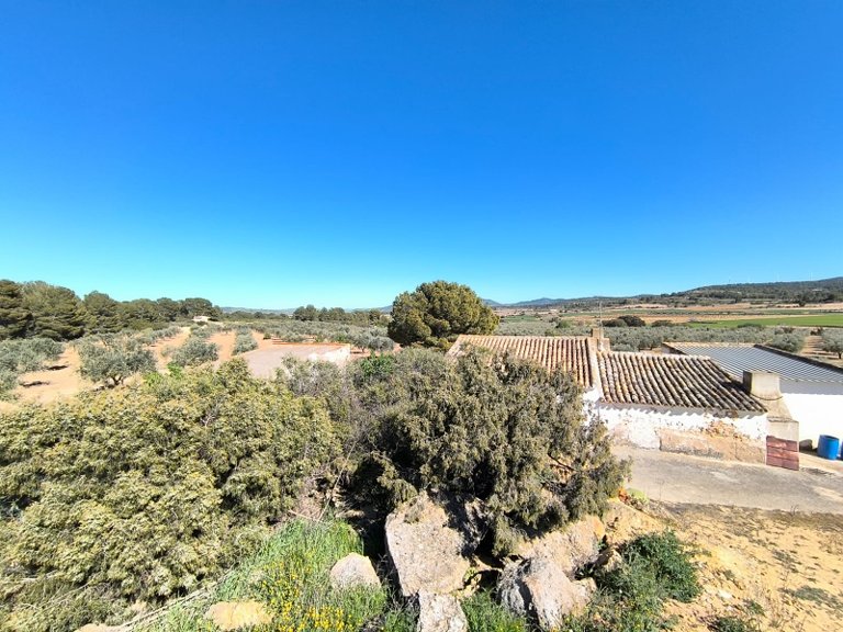 Country House for Sale in Yecla, Murcia 16
