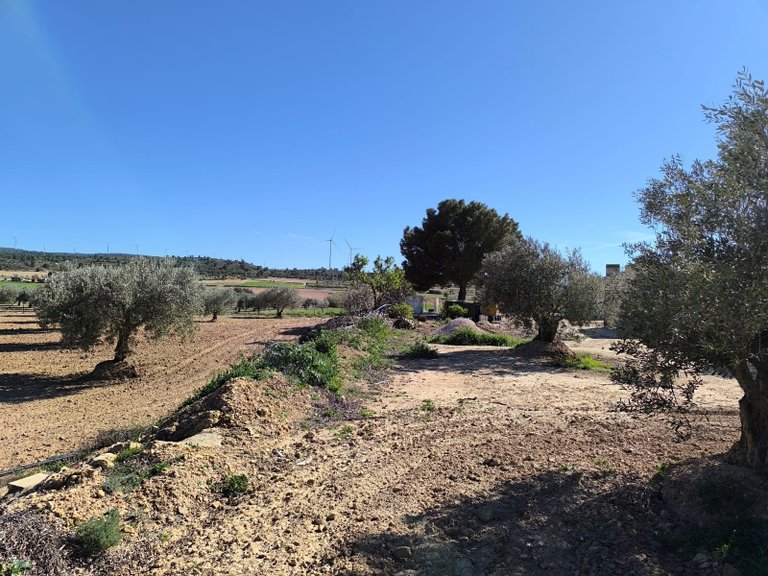 Country House for Sale in Yecla, Murcia 15