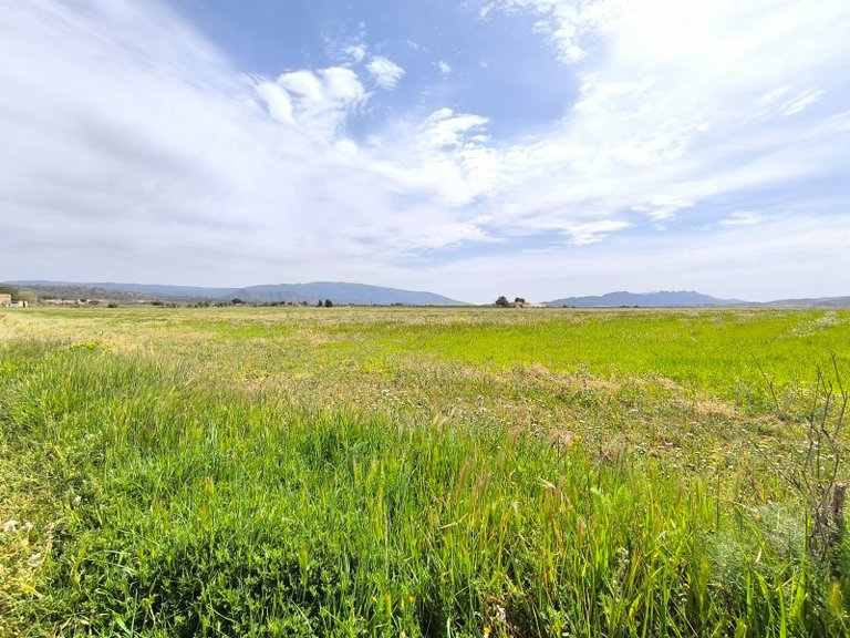 Country House for Sale in Yecla, Murcia 33