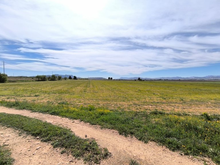 Country House for Sale in Yecla, Murcia 24