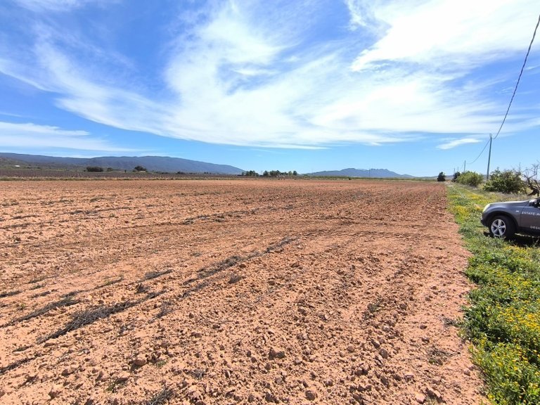 Country House for Sale in Yecla, Murcia 32