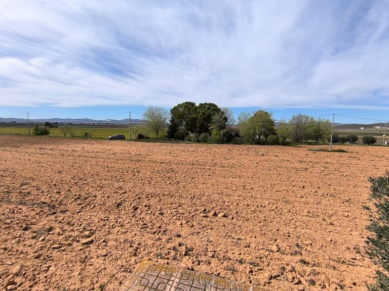 Country House for Sale in Yecla, Murcia 31