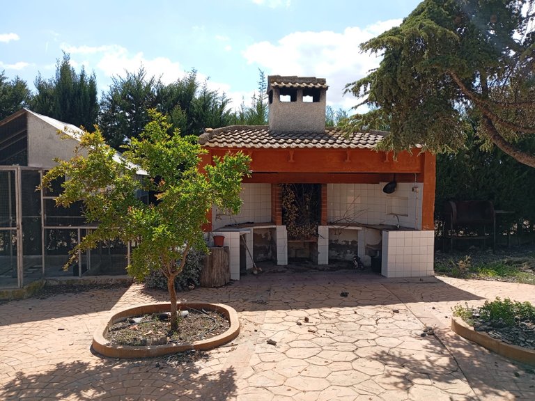 Villa for Sale in Yecla, Murcia 22