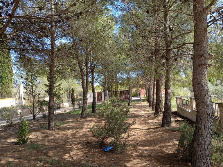 Villa for Sale in Yecla, Murcia 18