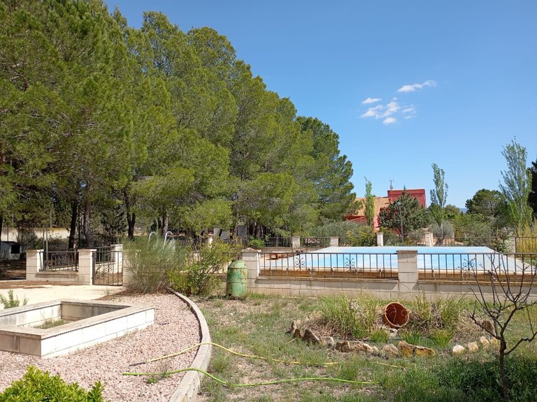 Villa for Sale in Yecla, Murcia 7