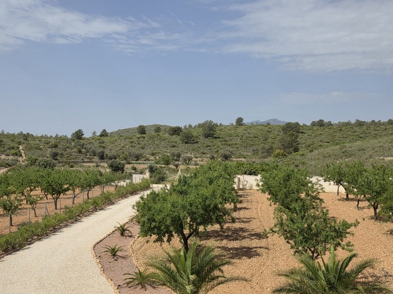 Villa for Sale in Pinoso, Alicante 44