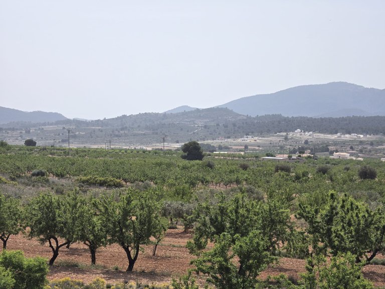 Villa for Sale in Pinoso, Alicante 35