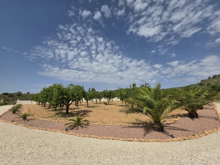 Villa for Sale in Pinoso, Alicante 39