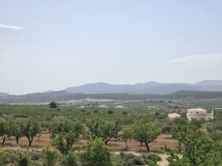 Villa for Sale in Pinoso, Alicante 45
