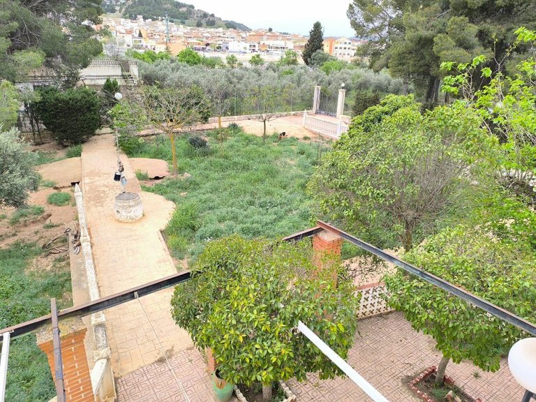 Villa for Sale in Yecla, Murcia 19