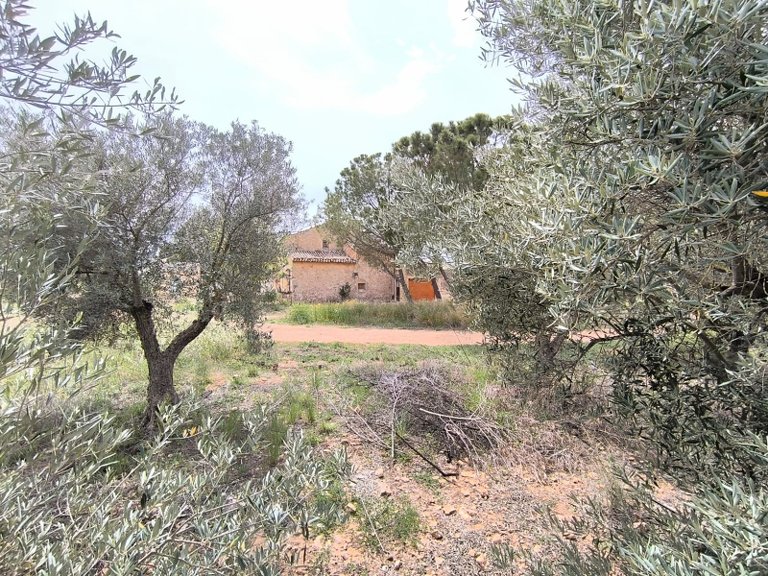 Country House for Sale in Yecla, Murcia 35