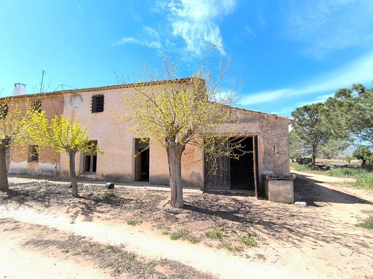 Country House for Sale in Yecla, Murcia 2