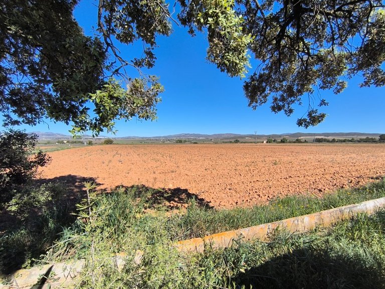 Country House for Sale in Yecla, Murcia 21