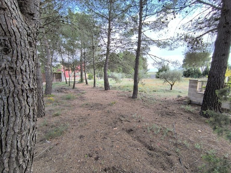 Villa for Sale in Yecla, Murcia 17