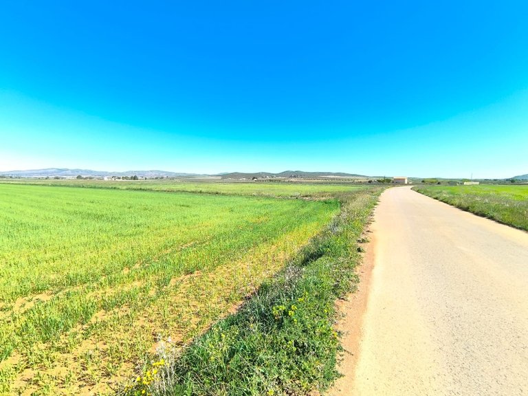 Plot for Sale in Yecla, Murcia 2