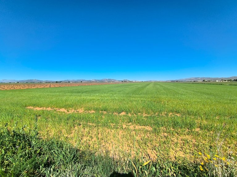 Plot for Sale in Yecla, Murcia 3