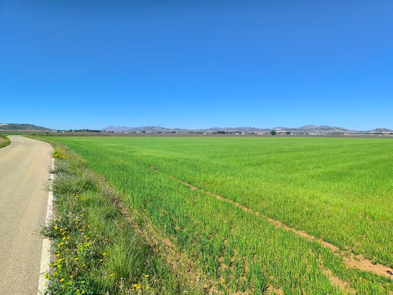 Plot for Sale in Yecla, Murcia 1