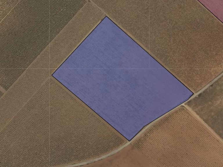 Plot for Sale in Yecla, Murcia 4
