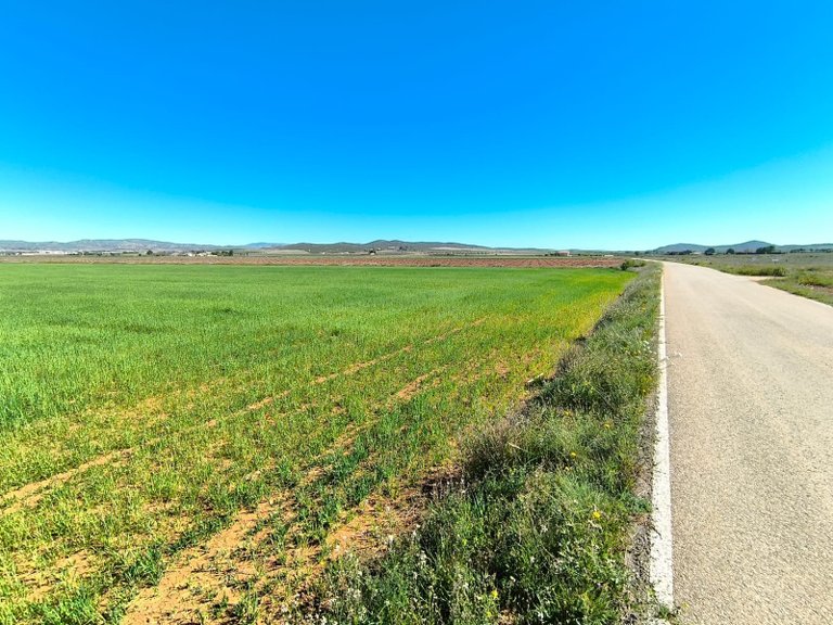 Plot for Sale in Yecla, Murcia 3