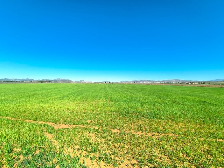 Plot for Sale in Yecla, Murcia 2