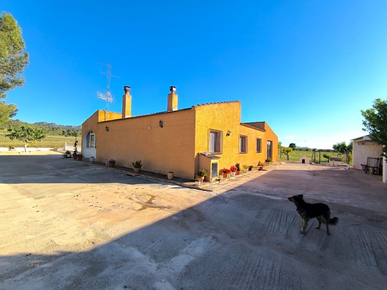 Country House for Sale in Yecla, Murcia 6