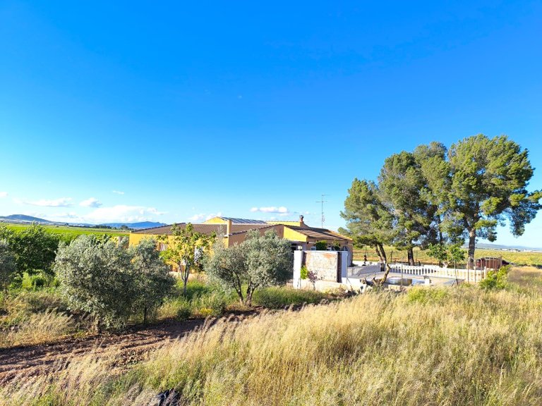 Country House for Sale in Yecla, Murcia 22