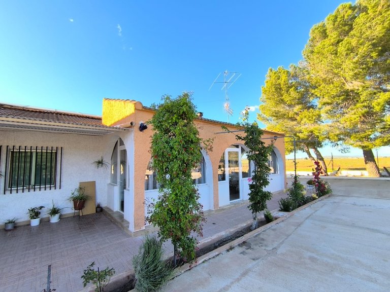Country House for Sale in Yecla, Murcia 5
